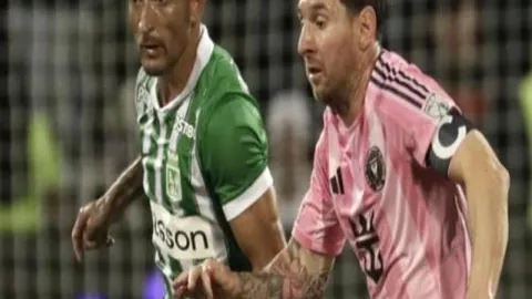 kaiyun·开云（中国）